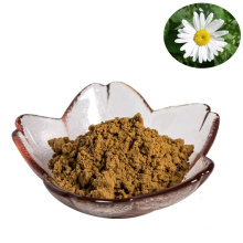 hot sale pure natural pyrethrum extract 10:1pyrethrum cinerariifolium powder for insecticide